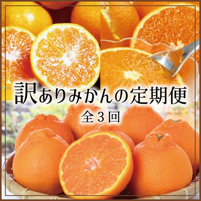 定期便  みかん 【3か月定期便】たっぷり届く♪訳ありみかんの定期便　温州みかん・不知火・清見オレンジ【tkb113】