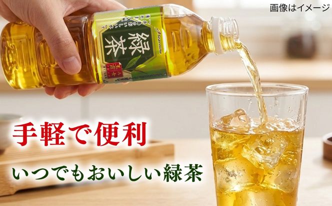 八女 玉露入り 緑茶 500ml × 24本 糸島市 / スターナイン お茶 ペットボトル [ARM004] お茶 ペットボトル 500ml 24本 緑茶 国産 まとめ買い 八女茶 常温