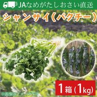 【先行予約】【2026年10月より順次発送開始】JAなめがたしおさい直送　シャンサイ(パクチー1kg)｜シャンサイ パクチー 野菜 1kg JA サラダ 鍋 スープ 茨城県 行方市(AE-28)