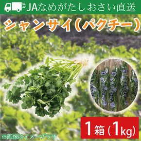 【先行予約】【2026年10月より順次発送開始】JAなめがたしおさい直送　シャンサイ(パクチー1kg)｜シャンサイ パクチー 野菜 1kg JA サラダ 鍋 スープ 茨城県 行方市(AE-28)
