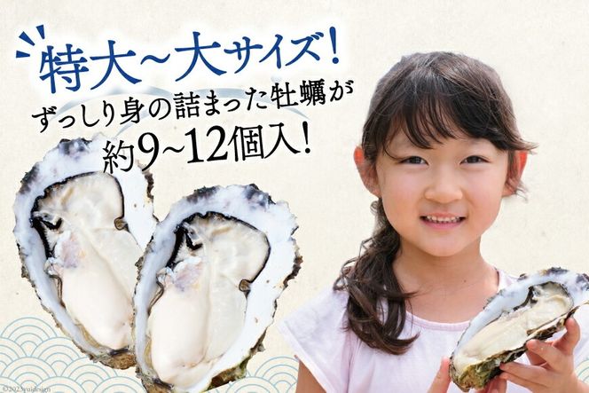 【期間限定発送】 TVで紹介！ 牡蠣 大粒 3～4年モノ 生食 殻付き牡蠣 約3kg(約9-12個入) [住喜水産 宮城県 気仙沼市 20564160] 期間限定 冷蔵 新鮮 濃厚 真牡蠣 カキ かき 生牡蠣 魚貝類 生牡蠣 貝 海鮮 魚介類 なべ カキフライ 牡蠣ご飯 魚介