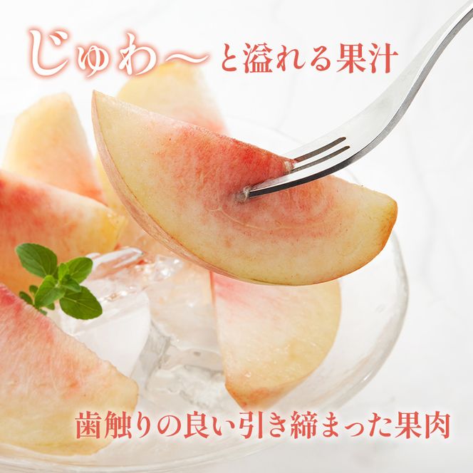 【2026年発送】志賀高原の麓で育った 川中島白桃特秀16玉 約5kg 桃 白桃 フルーツ 果物 デザート 長野