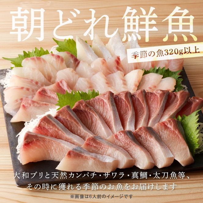 【単月お届け】(冷凍)大和のこだわり漁師のお刺身4人前 N072-YA0430_2