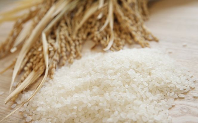 【令和7年産】魚沼産コシヒカリ 無洗米 5kg×全12回 お米 コメ 