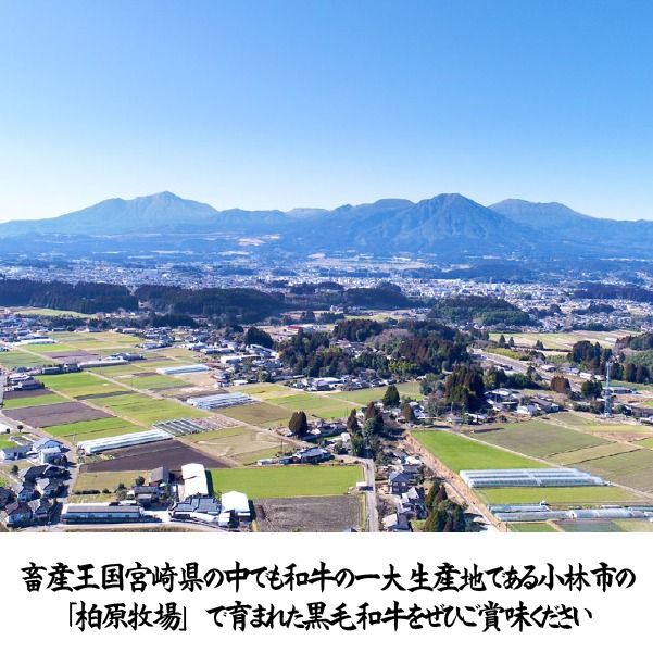 【自社農場和牛】黒毛和牛 特製塩だれミックスホルモン 900g（国産 黒毛和牛 宮崎牛 牛肉 塩だれ ホルモン ミックスホルモン 冷凍 宮崎県 小林市）