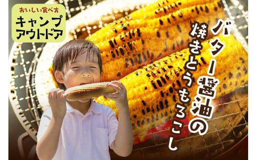 【先行予約】 生食も！高糖度！もぎたて！ フルーツトウモロコシ「イエローコーン」（2026年6月下旬～発送）　DE00135