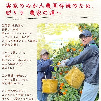 和歌山県産 有田みかん【訳あり 家庭用】約5kg 小玉 3S～Sサイズ_DI6018n