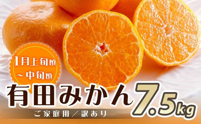 【魚鶴商店厳選】和歌山人気の柑橘ご家庭用・訳あり定期便（みかん・不知火・清見オレンジ）【定期便全3回】【UT117w】AN032
