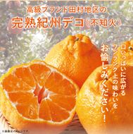 高級ブランド田村の完熟紀州デコ(不知火)約8kg＜2027年3月上旬～3月中旬頃順次発送＞【uot867】