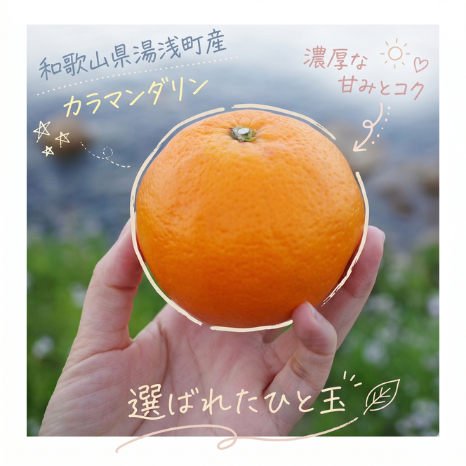 【2027年先行予約】《訳あり 家庭用》カラマンダリン 約3kg（S～2Lサイズ混合）_EQ6005