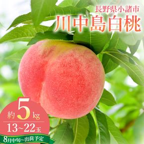 【オンライン決済限定】【2026年8月中旬～発送予定】桃 先行予約 浅間水蜜桃 川中島白桃 約5kg 秀品 13～22玉 贈答品 フルーツ 果物 白桃 甘い 冷蔵