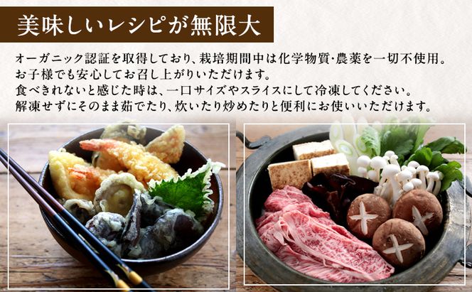 【 産地直送 】 有機JAS 生しいたけ定期便 1kg×6ヶ月 オーガニック しいたけ きのこ 野菜 岡山県 玉野市 栽培期間中化学肥料不使用 栽培期間中農薬不使用 野菜セット 