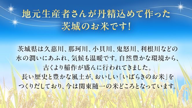 選べる内容量 / 令和6年産 茨城県産 コシヒカリ (精米 5kg 選べる内容量 / 令和6年産 茨城県産 コシヒカリ (精米 5kg