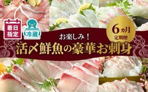 【お楽しみ定期便】延岡産活〆鮮魚の豪華お刺身 （6ヶ月定期便）請関水産　N019-YF073