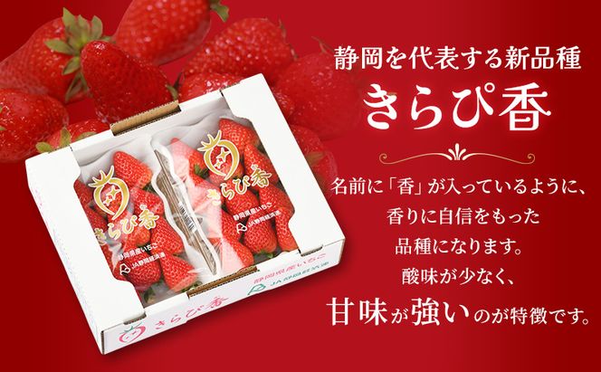JA遠州中央 きらぴ香 いちご 2パック 260g×2 遠中 静岡県 静岡 袋井市 袋井 イチゴ 苺 贈答 フルーツ 果物 くだもの 人気