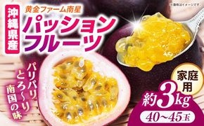 【先行受付】【2027年発送】黄金ファーム南星 パッションフルーツ 家庭用 約3kg (40玉～45玉) - ご自宅用 キズあり 色むらあり ご家庭用 先行予約 南国フルーツ 国産 おすすめ 沖縄県 八重瀬町