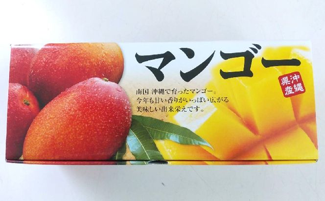 【2027年発送】大宜味村産 アーウィン種マンゴー　優品1kg以上