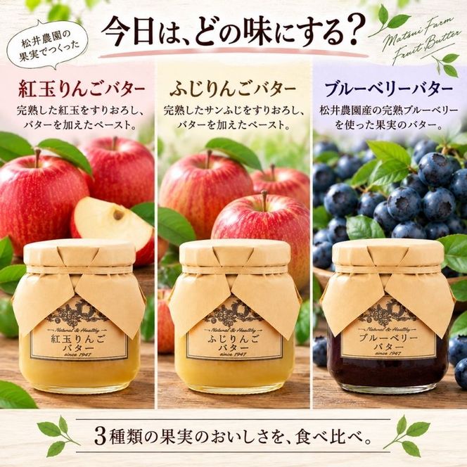 バター【バターセット】りんご リンゴ りんごバター 紅玉 ふじ ブルーベリー フルーツバター 完熟 アップル 果物 ペースト トッピング バタースプレッド トースト ヨーグルト 信州 長野
