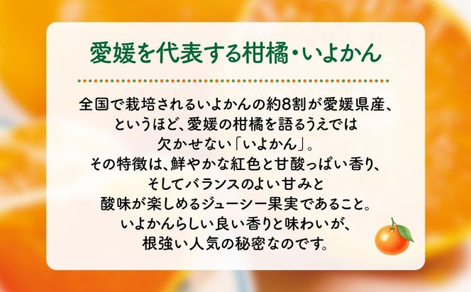 【先行予約】産地直送！愛媛県産いよかん 5kg（2027年1月中旬から発送予定） IKTF004