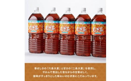 健康ミネラルむぎ茶 2L×6本×2ケース 飲料類 お茶 麦茶 [D07359]