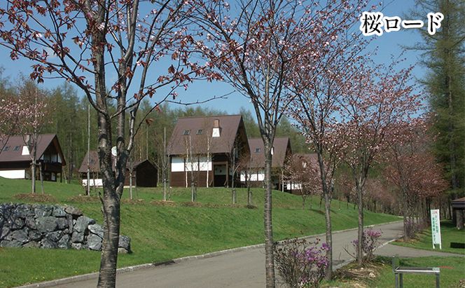 エルム高原リゾート コテージ宿泊券（日帰り温泉入浴券付き） チケット 温泉利用券 1戸建1棟貸切 6名まで利用可 ケビン村 虹の山荘 北海道 赤平市