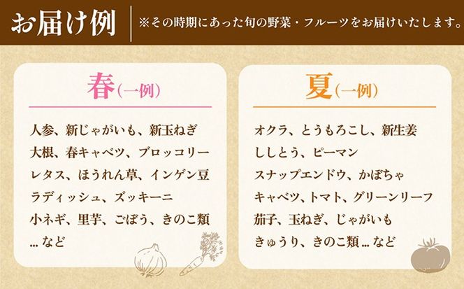 新鮮 「旬の野菜・フルーツ」 詰め合わせ セット（13品〜15品）/ 野菜 定期便 やさい 定期便 野菜セット やさいセット 春野菜 夏野菜 秋野菜 冬野菜 旬新鮮 / 南島原市 /長崎県農産品流通合同会社[SCB090]