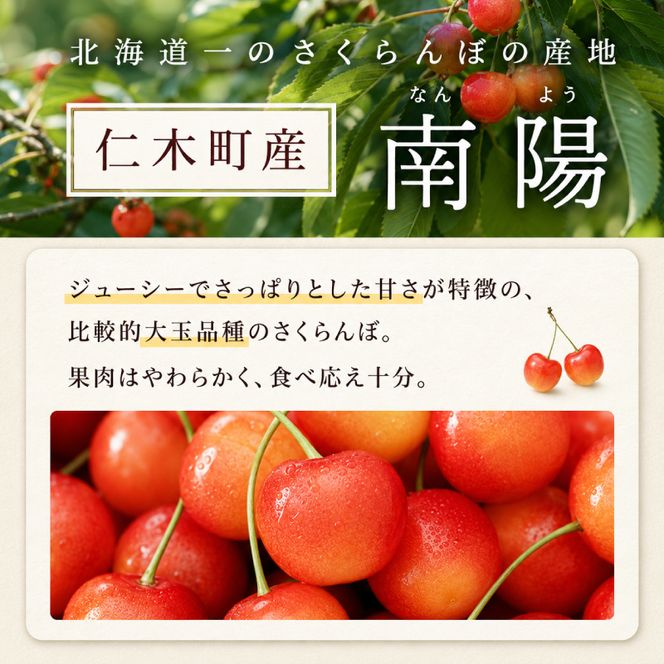 2027年発送 北海道 仁木町産 さくらんぼ 南陽 400g×2P Lサイズ  サクランボ チェリー フルーツ 果物 果物類 仁木町 仁木 [林果樹園]