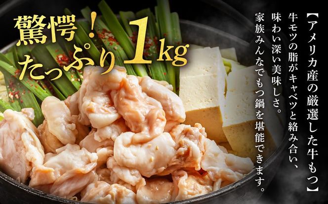 塩＆あごだし醤油 贅沢もつ鍋2種セット《たっぷりもつ1kg入り》【魚住商店】_HA1682 4～6人前 チャンポン麺付き モツ鍋 鍋 ホルモン もつ もつ鍋 塩もつ鍋 塩モツ鍋 あご出汁醬油 出汁つき 小分け 冷凍 福岡県宗像市 宗像市 福岡 宗像