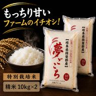 【令和7年産】特別栽培米 20kg【白米、7分ツキ】（夢ごこち）