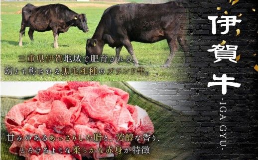 伊賀牛 切込肉 600ｇ【gzit0007-1】