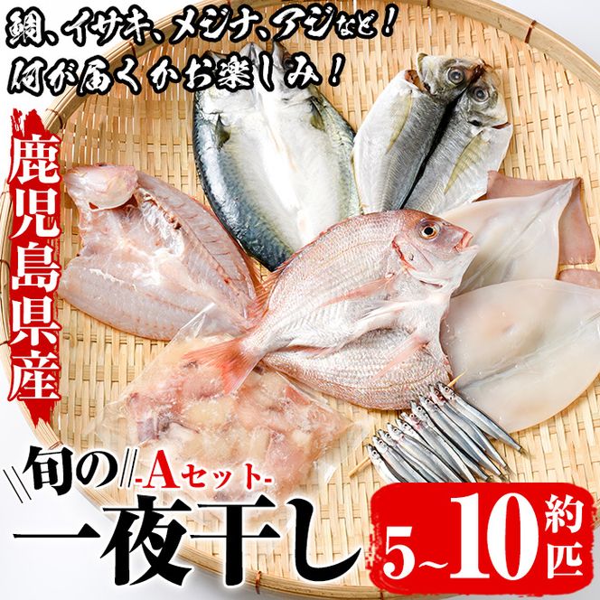 数量限定！阿久根市産の旬の一夜干しグルメ＜A＞セット(鯛・アジ・イカ・サバなど)国産 鮮魚 詰め合わせ お楽しみ 海の幸 魚介類 干物 海鮮【さるがく水産】akn028-06