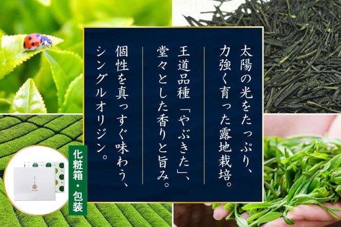 お茶 緑茶 煎茶 晟 70g×3本 [谷岩茶舗 宮崎県 日向市 452061612] セット 緑茶 やぶきた プラチナ賞 日本茶