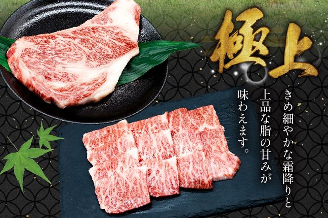 AJ465 長崎和牛 ロースステーキ バラ 焼肉 セット 500g [ 牛肉 肉 和牛 お肉 焼肉 焼き肉 ロース バラ肉 ステーキ トライアルストアーズ 長崎県 島原市 ]