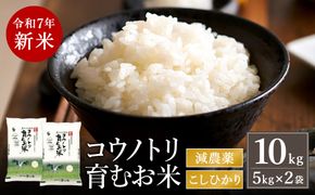令和7年産　新米 減農薬 米 特別栽培米 10kg コウノトリ育むお米 但馬産 こしひかり 兵庫県産(5kg×2袋)（94-004）減農薬 お米 10キロ 精米 白米 コウノトリ米 コシヒカリ 新米 コメ こめ ご飯 ライス 減農薬米