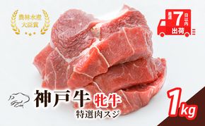 【最短7日以内発送】 神戸ビーフ 神戸牛 牝 特選肉スジ（角切りカレー煮込み用）大容量 1000g  1kg 川岸畜産 煮込み おでん カレー 冷凍 肉 牛肉 すぐ届く お肉 和牛 食材 グルメ ブランド牛 日本産 国産 夕飯 晩御飯 夜ごはん