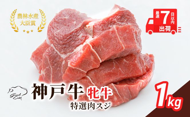 【最短7日以内発送】 神戸ビーフ 神戸牛 牝 特選肉スジ（角切りカレー煮込み用）大容量 1000g  1kg 川岸畜産 煮込み おでん カレー 冷凍 肉 牛肉 すぐ届く お肉 和牛 食材 グルメ ブランド牛 日本産 国産 夕飯 晩御飯 夜ごはん