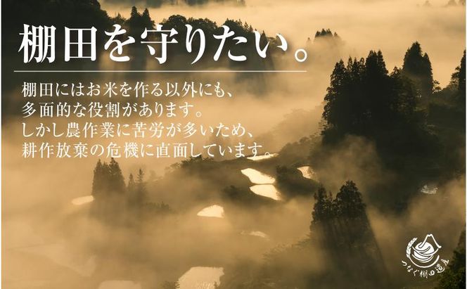 無洗米2kg　令和7年産新潟県十日町市魚沼産コシヒカリ「つなぐ棚田米」 米 こしひかり 無洗米 十日町市