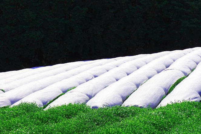 手摘み玉露と宇治茶2種のお詰合せ～宇治田原最高茶師～〈お茶 茶 煎茶 緑茶 茶葉 玉露 手摘み玉露 雁が音 茎茶 詰合せ 最高茶師 大臣賞 飲料 加工食品〉 