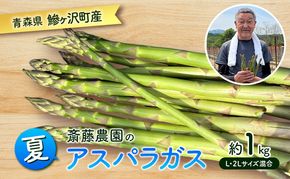 先行予約 2026年 夏アスパラガス 約1kg L～2L 混合 斎藤農園 野菜 アスパラガス 栄養豊富 ほんのり甘い 肉質しっかり あっさりとした食味  おつまみ 料理 お弁当 食材 青森県 鰺ヶ沢町