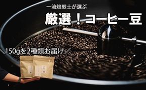 【Specialty Coffee】真庵（まこと）焙煎コーヒー豆（２種類） ※産地はおまかせ　コーヒー 珈琲 コーヒー豆 珈琲豆 焙煎 コスタリカ ブラジル グアテマラ コロンビア エチオピア インドネシア ケニア 