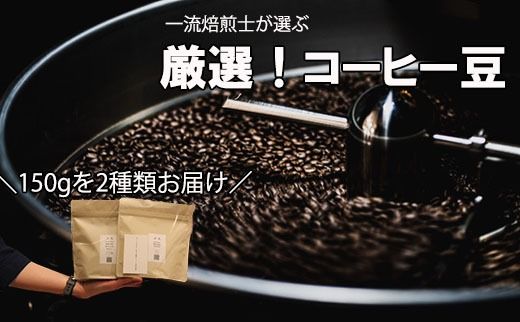 yRxm쒬zySpecialty Coffeez^i܂ƁjR[q[iQށj Yn͂܂@R[q[  R[q[ 蓤  RX^J uW OAe} RrA G`IsA ChlVA PjA