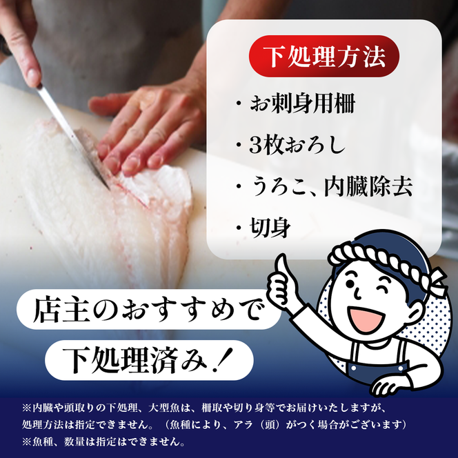 鮮魚 冷蔵 クール便「開けたらすぐ食べられる」下処理済み 海産物 1人前 さとう鮮魚店【一人暮らし 女性 男性 パック 詰め合わせ 海鮮セット 鮮魚ボックス 海鮮 海の幸 魚介 魚介類 切り身 秋田県 にかほ 】