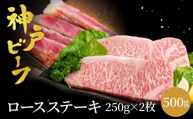 神戸牛 ロースステーキ 500g(250g×2枚) / 牛肉 ステーキ ロース 霜降り ステーキ肉 但馬牛 黒毛和牛 和牛 国産牛 赤身 ステーキ 牛 肉 焼肉 太田牧場 太田牛 神戸ビーフ TYST5【但馬牛太田家】【2026年4月より順次発送】