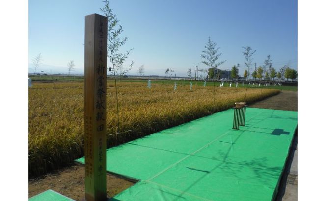 北本農場 こだわりのお米 令和7年産 石川県 にこまる米 白米5kg