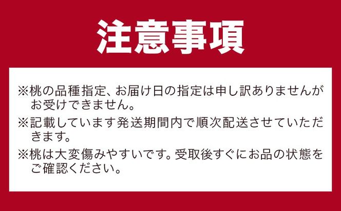 【2026年先行予約】【2回定期便】桃 岡山の桃定期便 2回コース 岡山県産 岡山白桃 黄金桃 株式会社山博《2026年7月上旬-9月末頃出荷》岡山県 笠岡市 フルーツ 果物 白桃 もも お取り寄せ【配送不可地域あり】---Y-42---