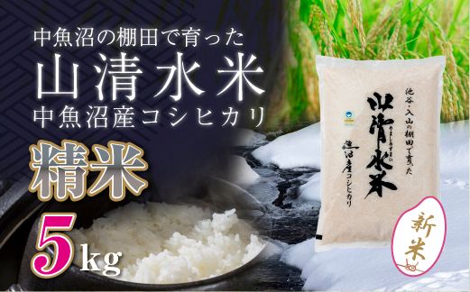 【令和8年産 新米】 新潟県魚沼産コシヒカリ「山清水米」精米5kg