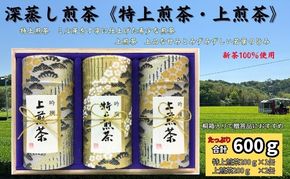 深蒸し煎茶《特上煎茶[200g×1本]・上煎茶[200g×2本]》