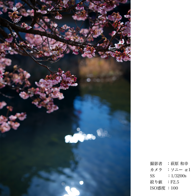 SIGMA 50mm F1.4 DG DN | Art【ソニーEマウント】