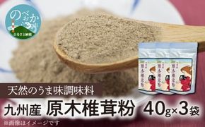 天然のうま味調味料「九州産原木椎茸粉」40g×3袋 N0155-YA0457