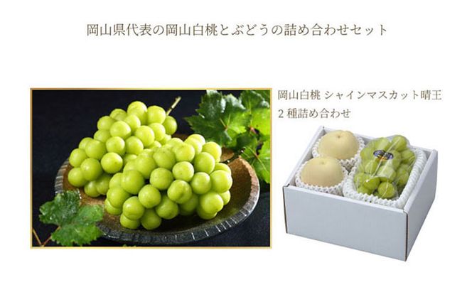 桃 ぶどう 2026年 先行予約 岡山 白桃 エース 2玉×約200g（Lサイズ、早生種・中生種）シャイン マスカット 晴王 1房約400g  詰め合わせ 岡山県産 フルーツ 